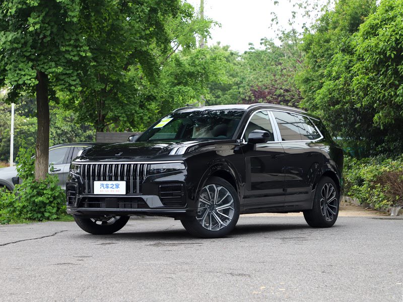 领克首任车主享终身质保是什么意思