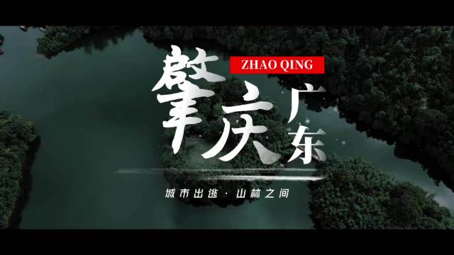 肇庆七星岩落羽杉红遍山湖，岩前村夜景云道悬空揽全景