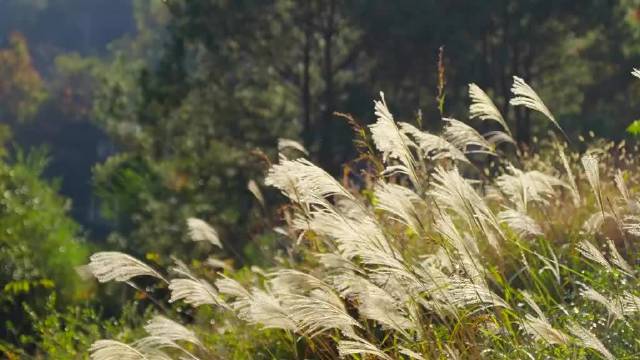 福建洛江闽南语歌曲《2026家乡年》上线，唱响红砖古厝乡愁