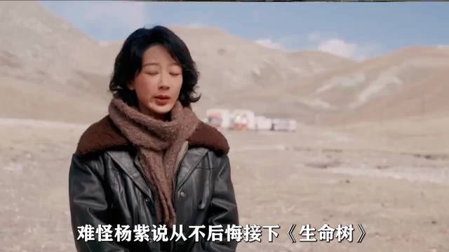 杨紫谈《生命树》情感线，师徒情伪骨科父母爱情交织