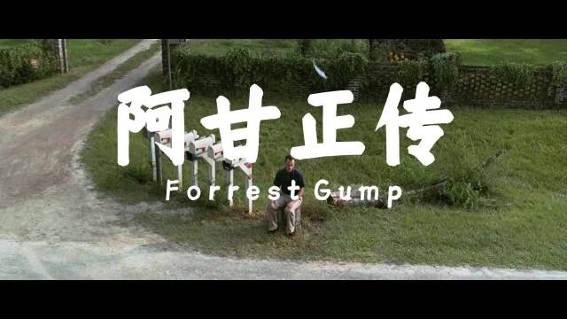 人生就像一盒巧克力，你永远不知道下一颗是什么味道" 阿甘正传