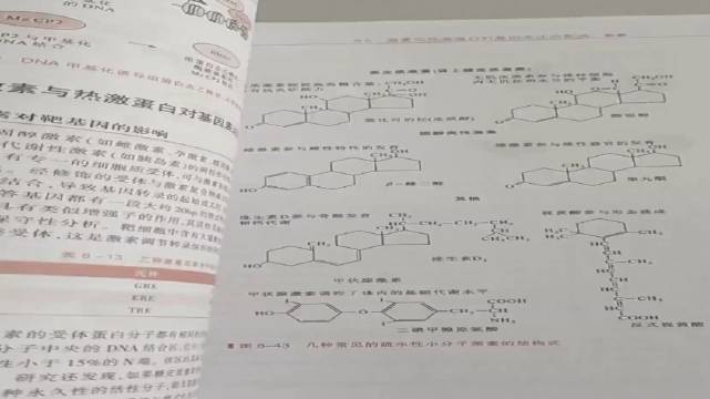 蜗居:不知道天高地厚的海藻居然和宋思明太太这样顶嘴