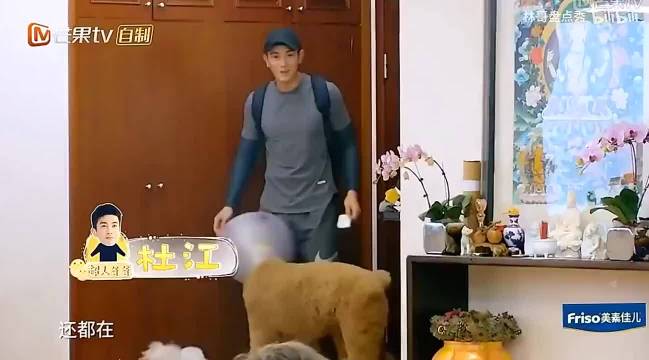 杜江一回家，霍思燕就跟她撒娇，果然撒娇女人最好命啊