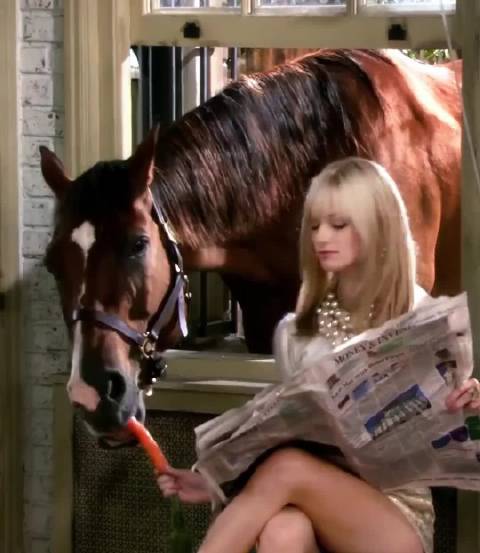 欠钱的是大爷哈哈哈 破产姐妹