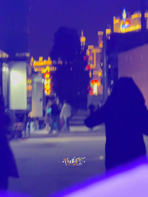 当我们亮起应援棒合影时，妈咪突然下房车了