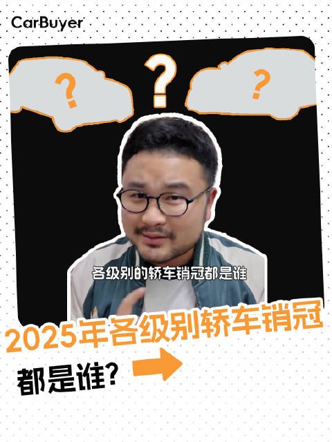 2025年各<em>级</em><em>别</em>轿车销冠都是谁，看看跟你想象中的一样吗？