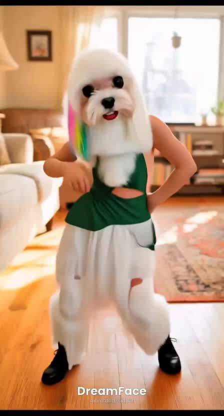 仔仔今日表演GUCCI宝贝片段