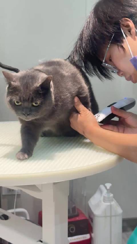 仔仔剃毛记！ 大头虾记！ 日常吃饭记！