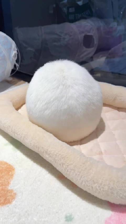 怎么会有那么圆嘟嘟的屁屁！