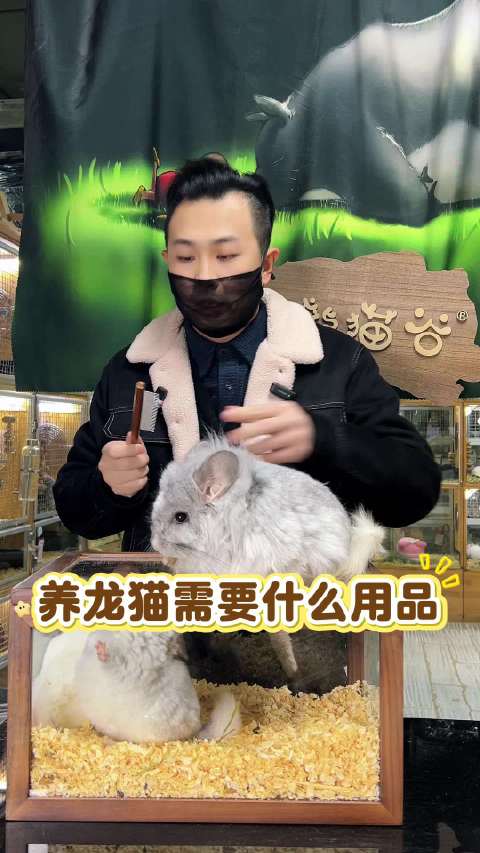 接龙猫回家前需要给小东西准备什么呢