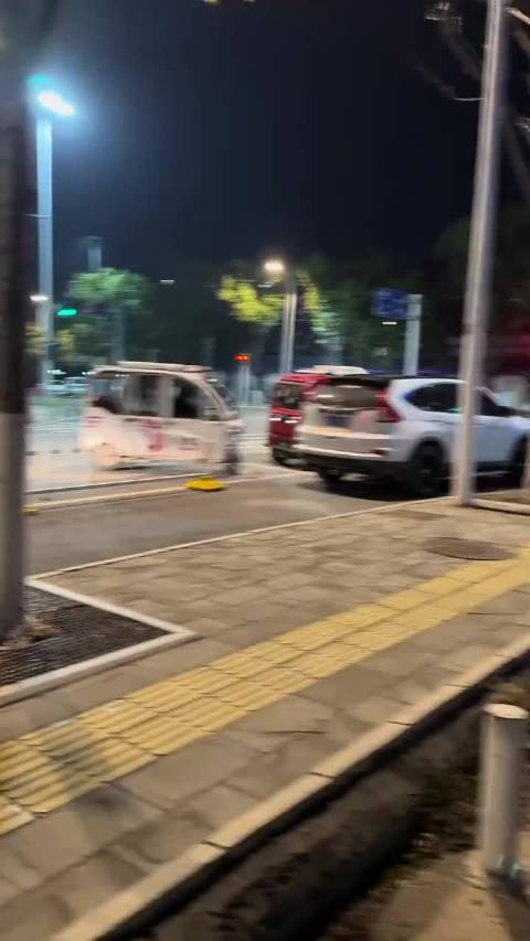 速度与激情老年版