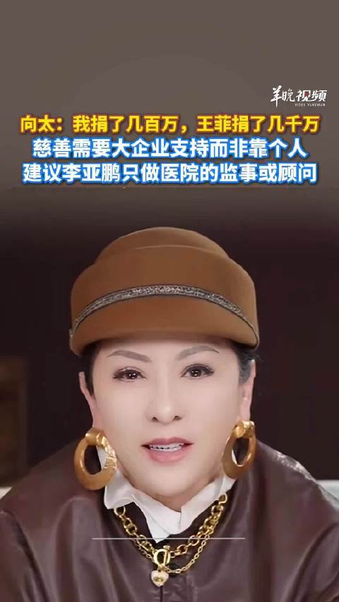 向太谈李亚鹏公益坚守，称适当放手才是最好守护