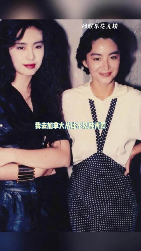 我去加拿大，从此不见林青霞