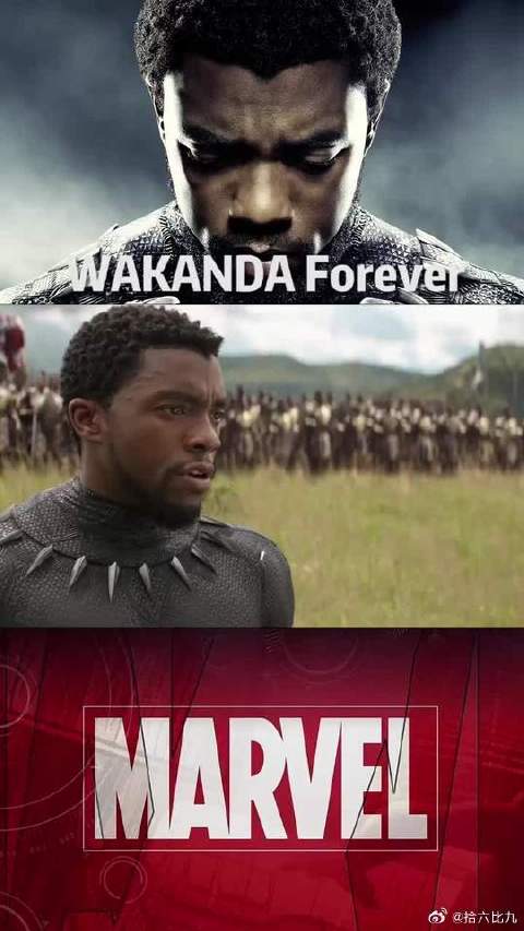 漫威永远的黑豹，永远的国王，愿超级英雄在天堂继续守护世界，瓦坎达Forever