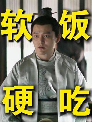 盛家四位女婿中，谁才是真正靠婚姻上位的高手？知否知否应是绿肥红瘦 如兰