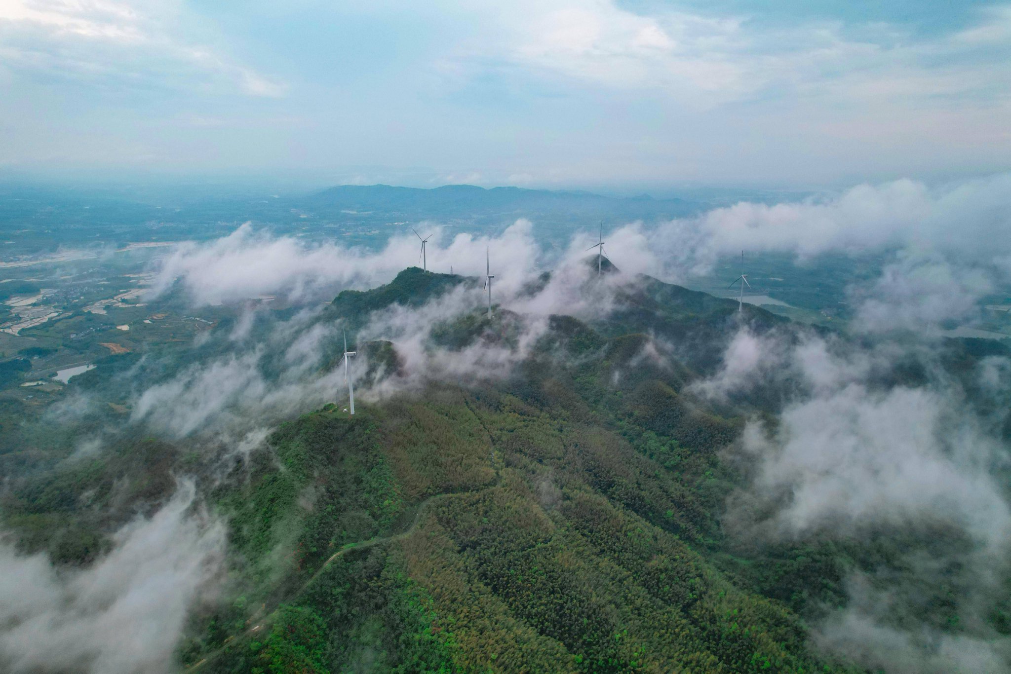 孙丞潇主动提出婚前财产公证回应质疑，53天159道菜俘获金莎芳心