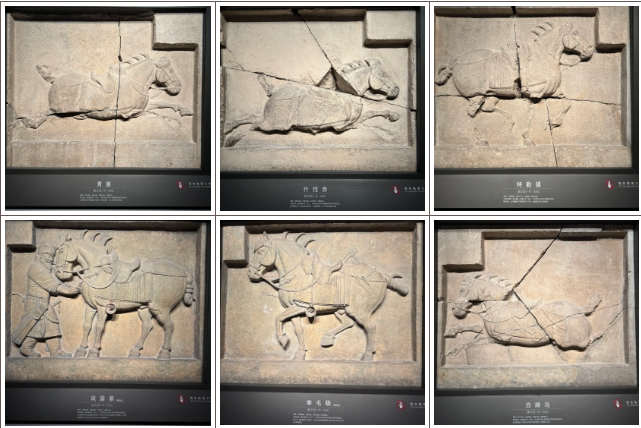昭陵六骏浮雕  图片来源：遇见碑林