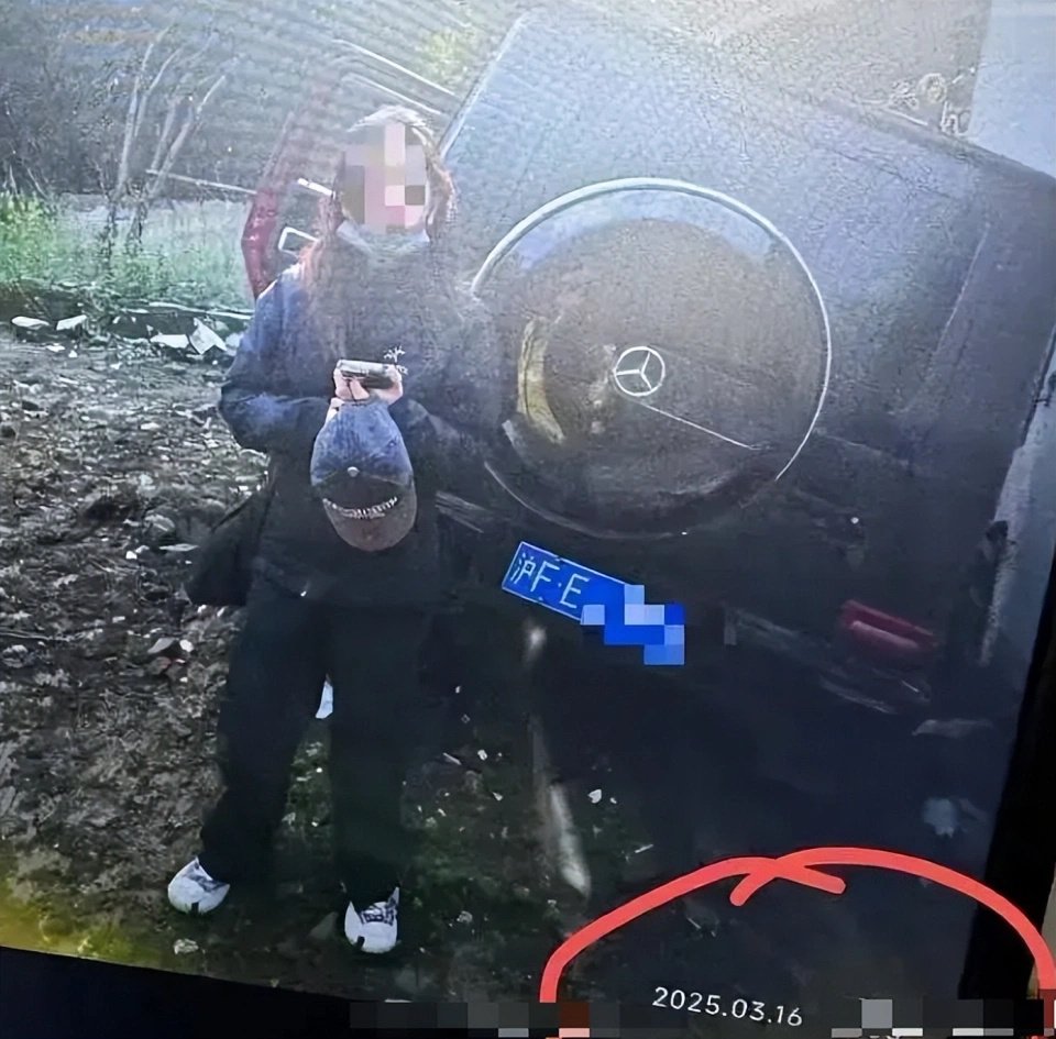 金晨疑涉嫌肇事逃逸，张雨绮被曝代孕，明星身份还是免死金牌吗？