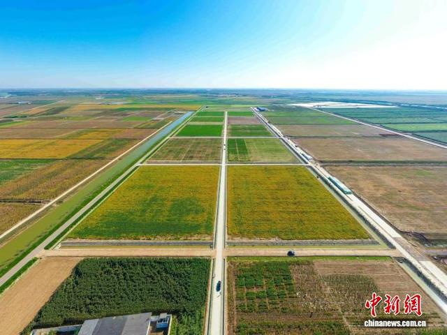 东营市盐碱地。(资料图)杜剑 摄