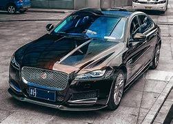 捷豹和彪马商标有什么不同