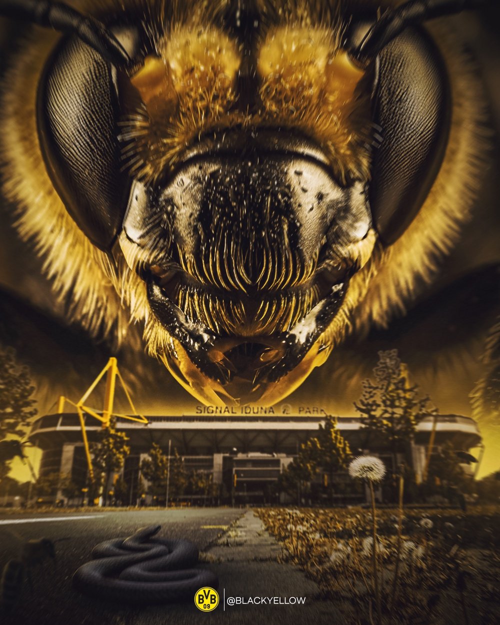 大黄蜂战蛇精灵！多特蒙德官方发布欧冠主场对阵国米的赛前预热海报