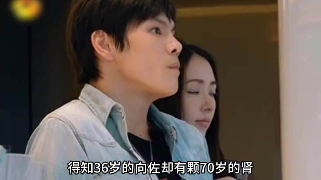得知36的向佐却有着70岁的肾，郭碧婷的脸都绿了名场面向佐向佐郭碧婷综艺娱乐