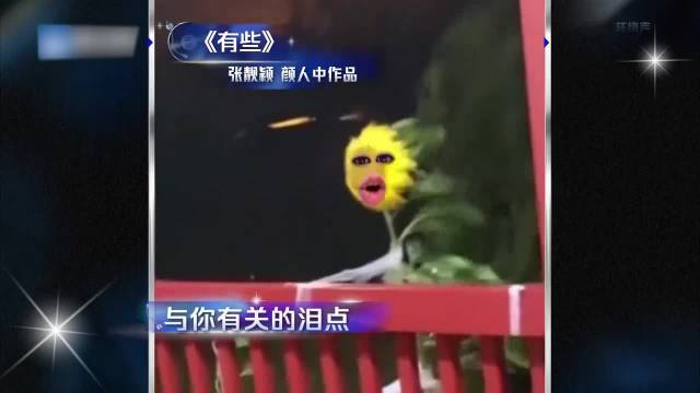 颜人中太有实力，魔性短视频尬全场，脚趾扣地了