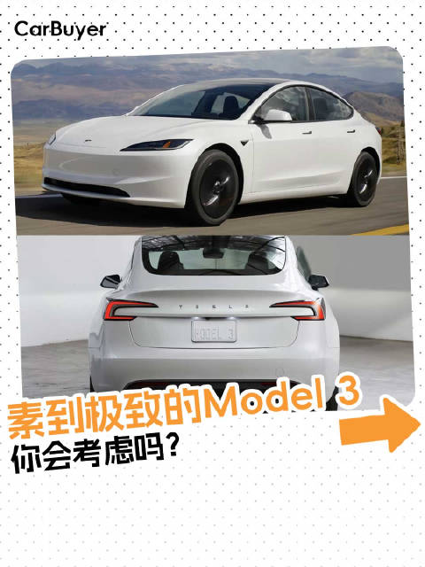 廉价版特斯拉终于来了，国产后卖20万以内？