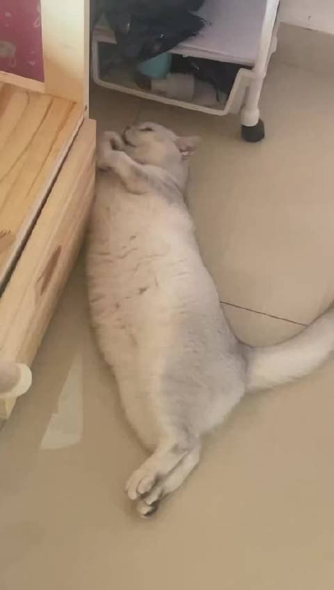 谁家卡车挡路了 赶紧来领走