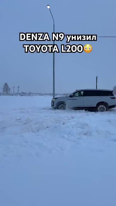 腾势N9：“不是你喊我来玩雪？你怎么不动？”