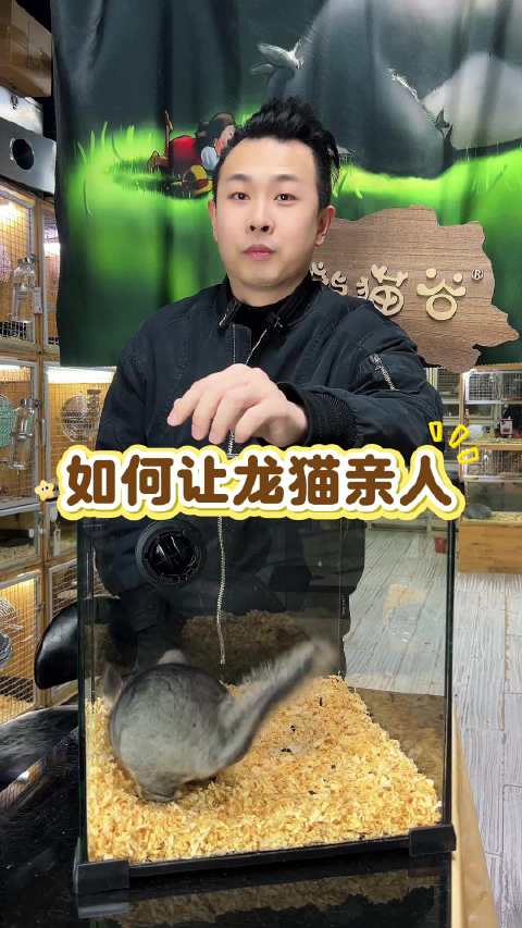 想让龙猫亲人？听我的准没错！