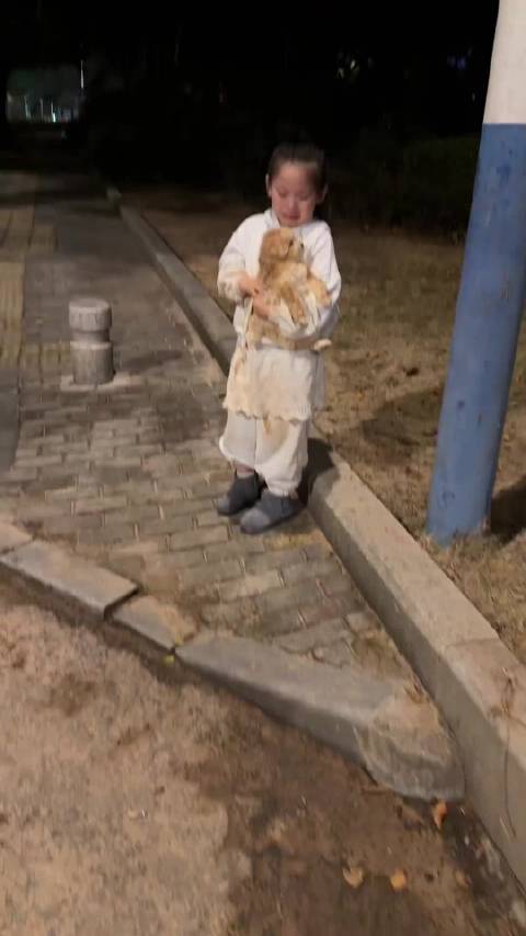 小女孩求妈妈就流浪小狗，说话内容和氛围像在看《还珠格格》