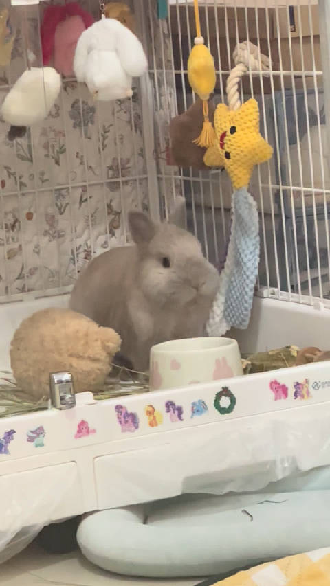 最近和闪闪 天下第一好！