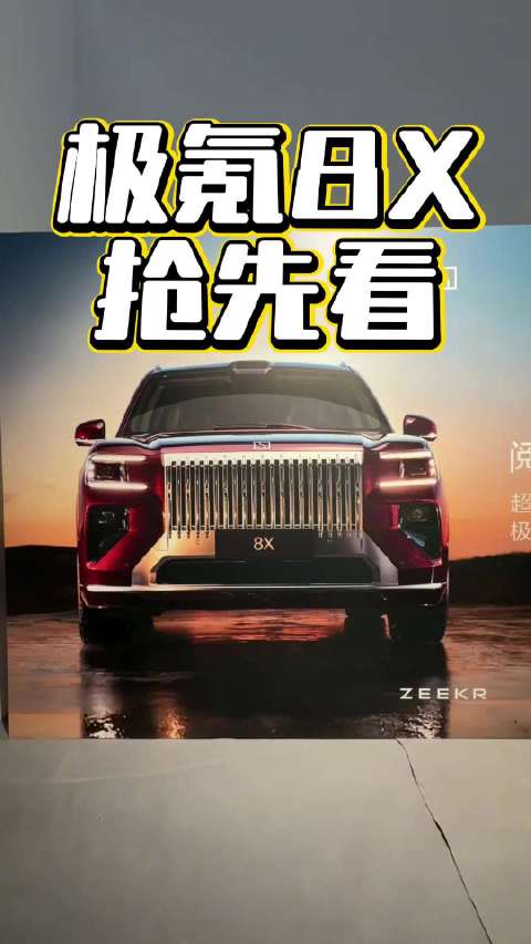 签了500万保密协议，但还是想剧透一下极氪8X