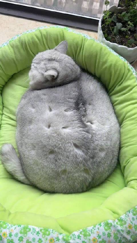 胖胖的煤气罐怎么全是洞啊！容易爆炸啊！