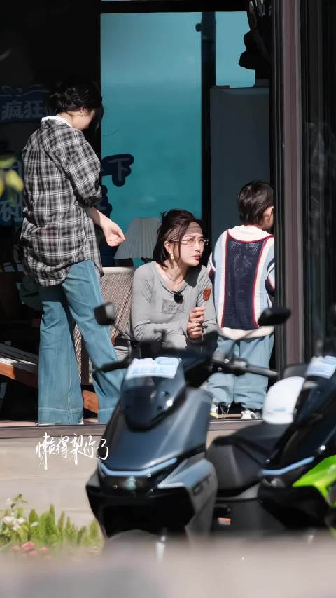 秦岚为小猪智商正名，称其堪比人类3至12岁