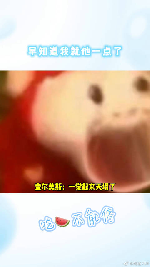 查尔莫斯：已老实潘展乐 微博VC计划