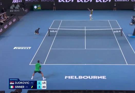 德约科维奇激战辛纳，澳网半决赛上演巅峰对决