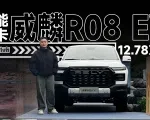 可盐可甜，全能皮卡威麟R08 EV 12.78万起｜智能车指南