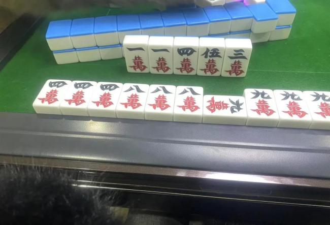 会不会打麻将的都沉默了 高手静默新手话多