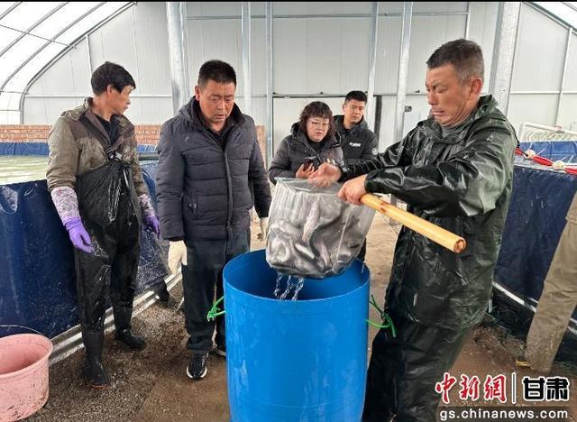 图为工人捞鱼。