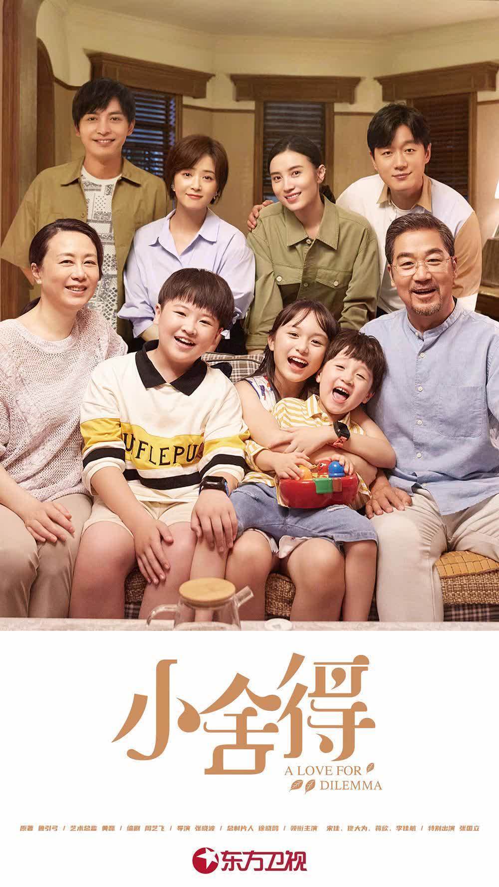 宋佳蒋欣佟大为李佳航领衔42集家庭剧