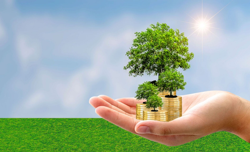 金融标准对接田间实践：建行上海市分行 首单生物多样性贷款成功落地