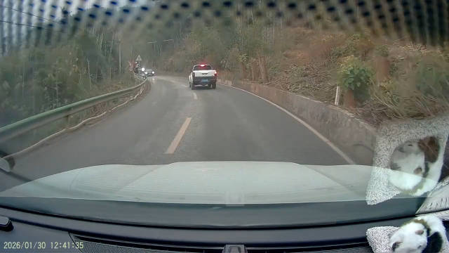 跟车行驶时前车刹车灯亮后车未及时制动引发事故责任划分引关注