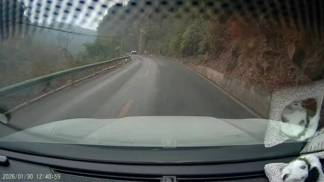 视频车全责，神仙都跑不脱