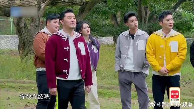 林一真是胆大啊！熊孩子直接上树摘梨，杨颖吐槽真实了