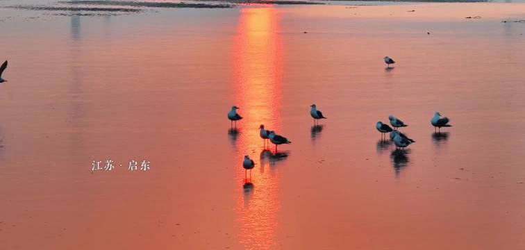 爱过后能否做朋友，董子健孙怡离婚后体面互动引热议