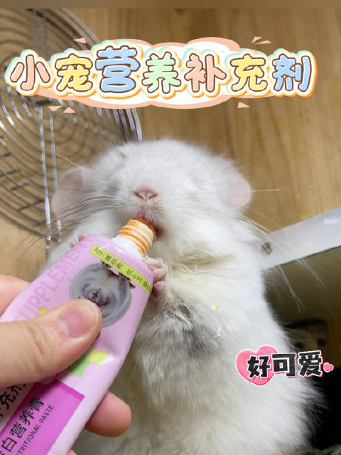 龙猫乳铁蛋白营养膏抵抗力拉满，一瓶顶N瓶！