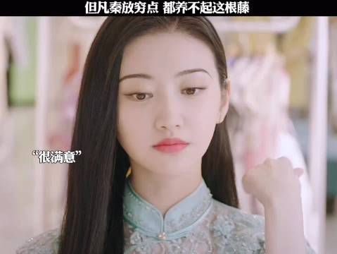 但凡秦放穷点，都养不起这根藤！