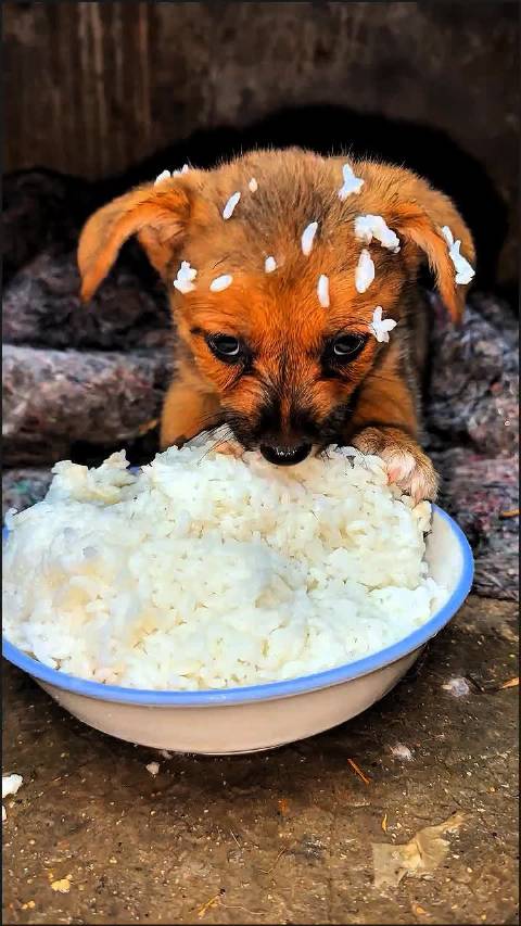 王国维蒋勋谈人生三境界，许三多名言引深思